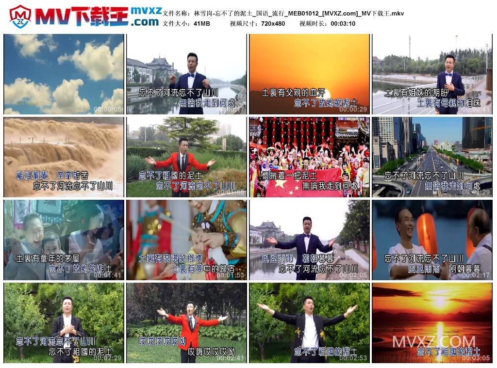 林雪岗-忘不了的泥土_国语_流行_MEB01012